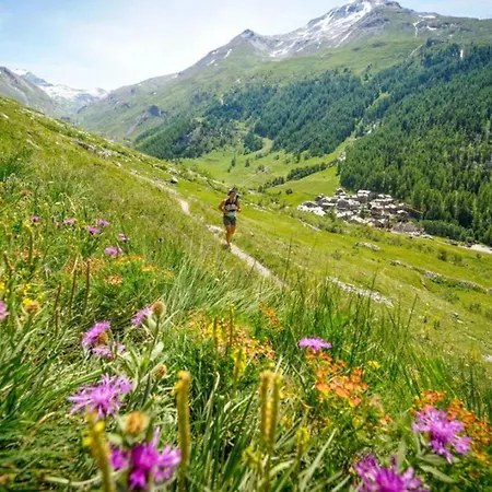 Grepon 3a - A Haven Apartment Chamonix